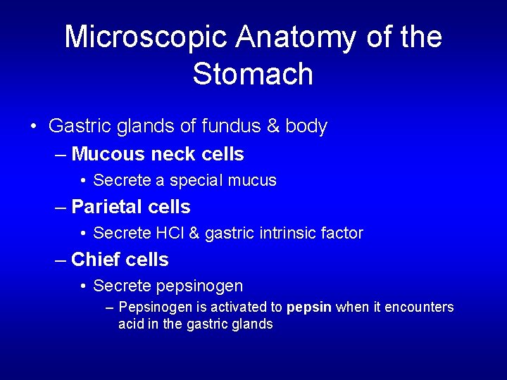 Microscopic Anatomy of the Stomach • Gastric glands of fundus & body – Mucous