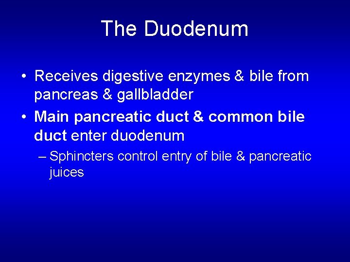 The Duodenum • Receives digestive enzymes & bile from pancreas & gallbladder • Main