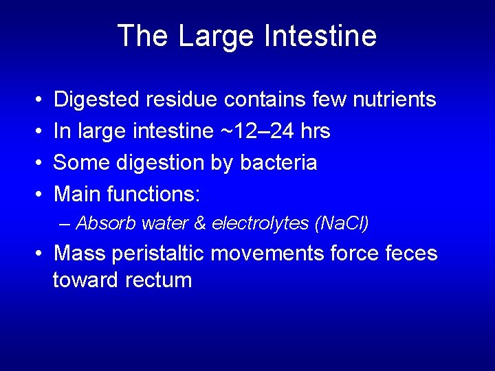 The Large Intestine • • Digested residue contains few nutrients In large intestine ~12–