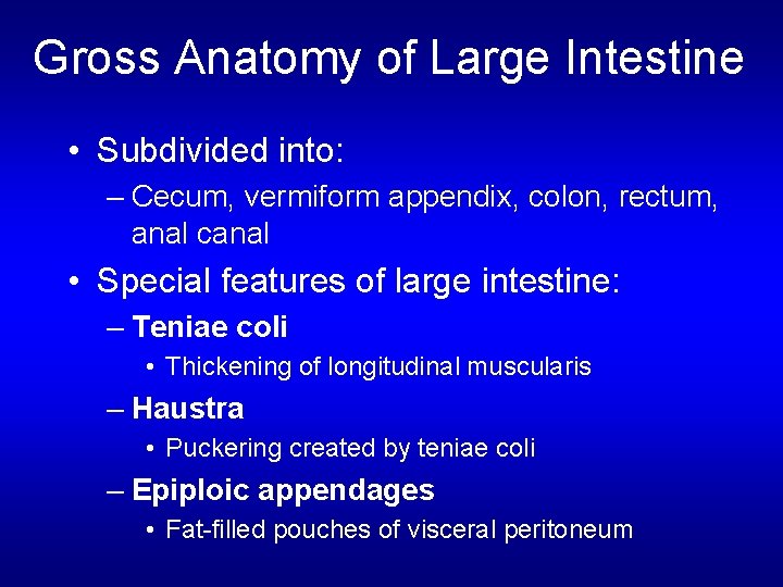 Gross Anatomy of Large Intestine • Subdivided into: – Cecum, vermiform appendix, colon, rectum,