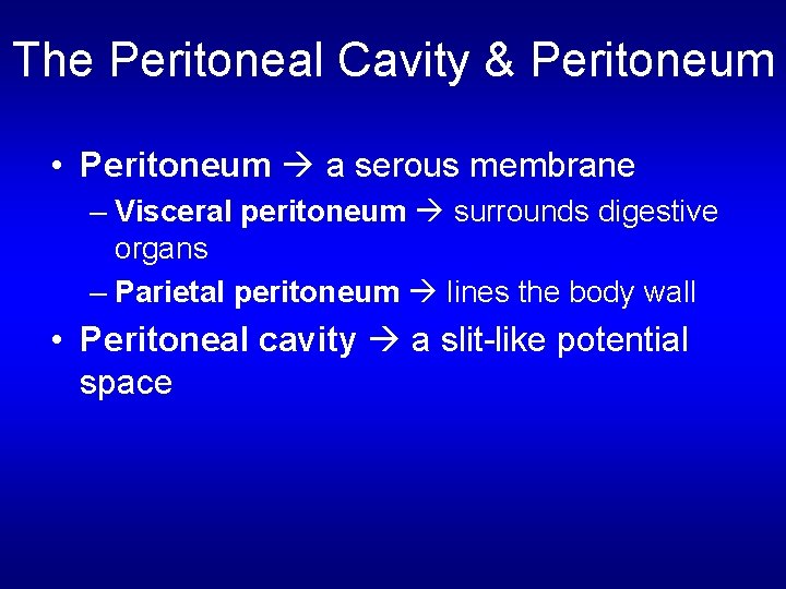 The Peritoneal Cavity & Peritoneum • Peritoneum a serous membrane – Visceral peritoneum surrounds