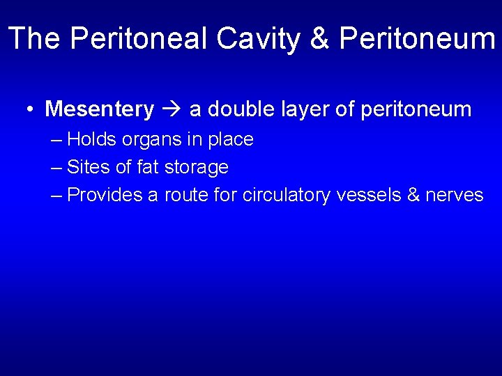The Peritoneal Cavity & Peritoneum • Mesentery a double layer of peritoneum – Holds