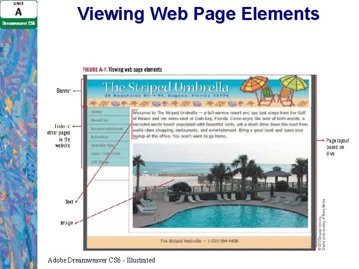 Viewing Web Page Elements Adobe Dreamweaver CS 6 - Illustrated Viewing Web Page Elements Adobe Dreamweaver CS 6 - Illustrated