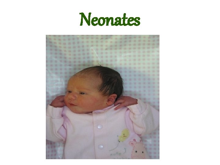 Neonates 