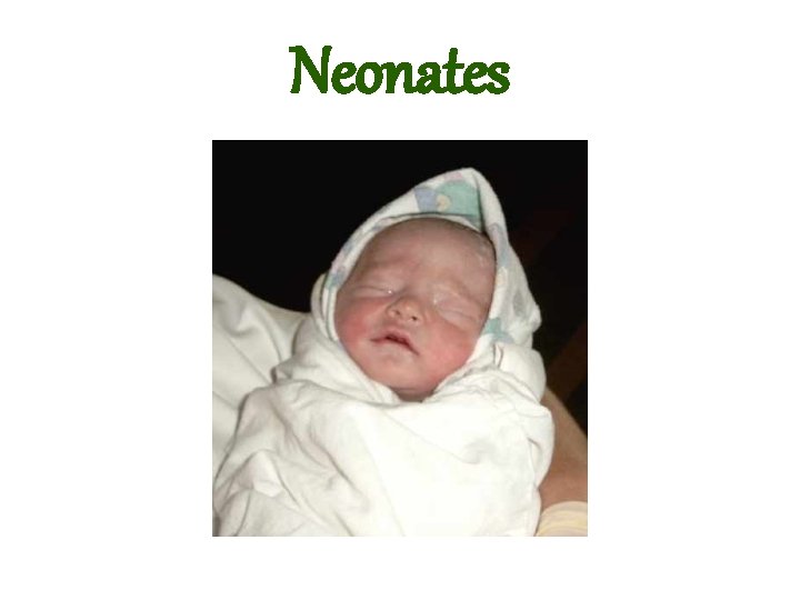 Neonates 