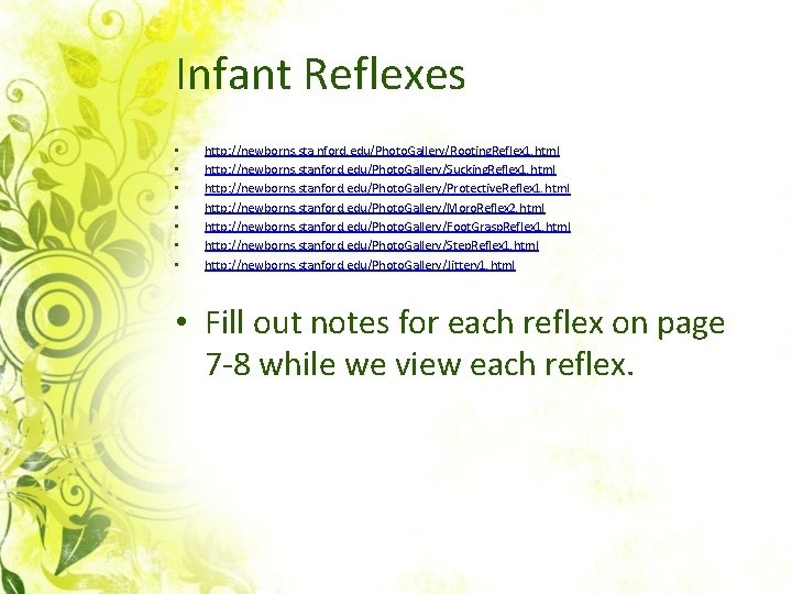 Infant Reflexes • • http: //newborns. sta nford. edu/Photo. Gallery/Rooting. Reflex 1. html http: