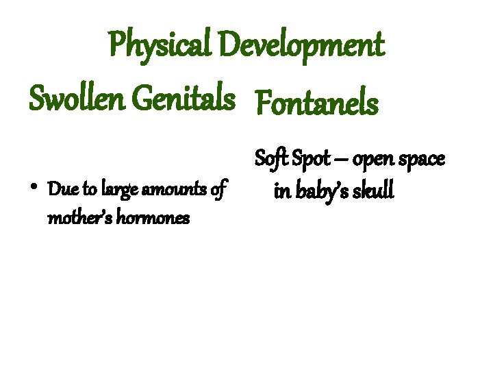 Physical Development Swollen Genitals Fontanels • Due to large amounts of mother’s hormones Soft