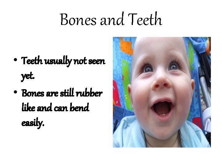 Bones and Teeth • Teeth usually not seen yet. • Bones are still rubber