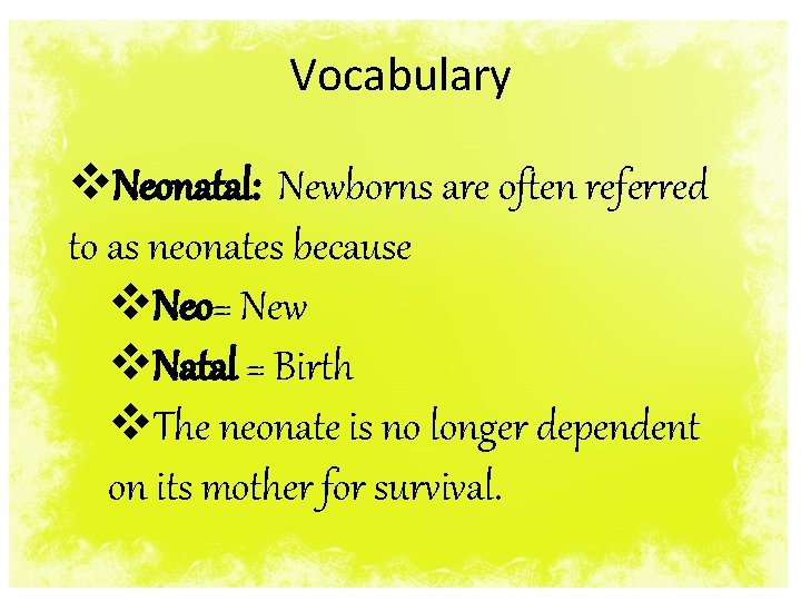 Vocabulary v. Neonatal: Newborns are often referred to as neonates because v. Neo= New