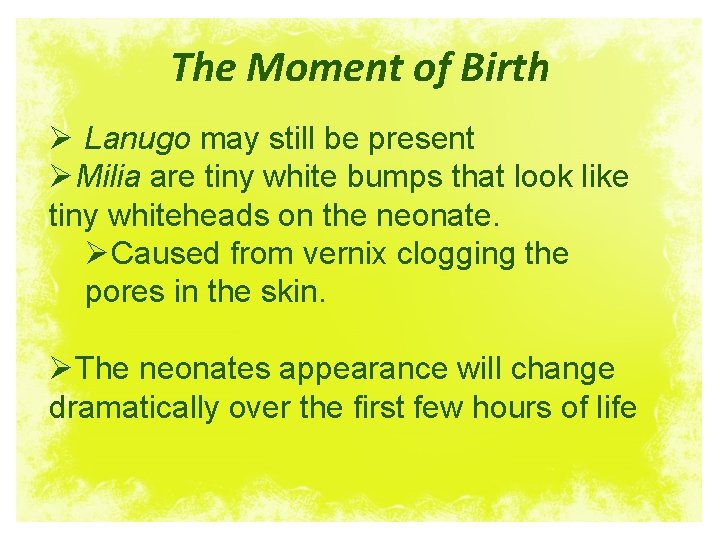 The Moment of Birth Ø Lanugo may still be present ØMilia are tiny white