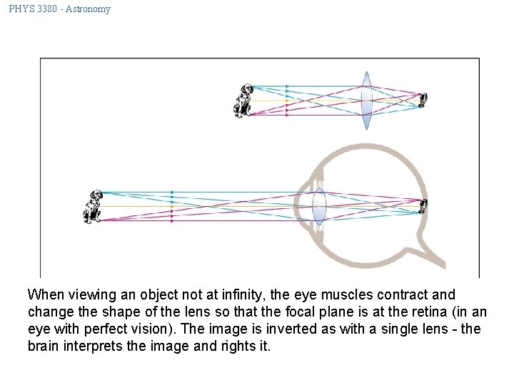 PHYS 3380 - Astronomy When viewing an object not at infinity, the eye muscles