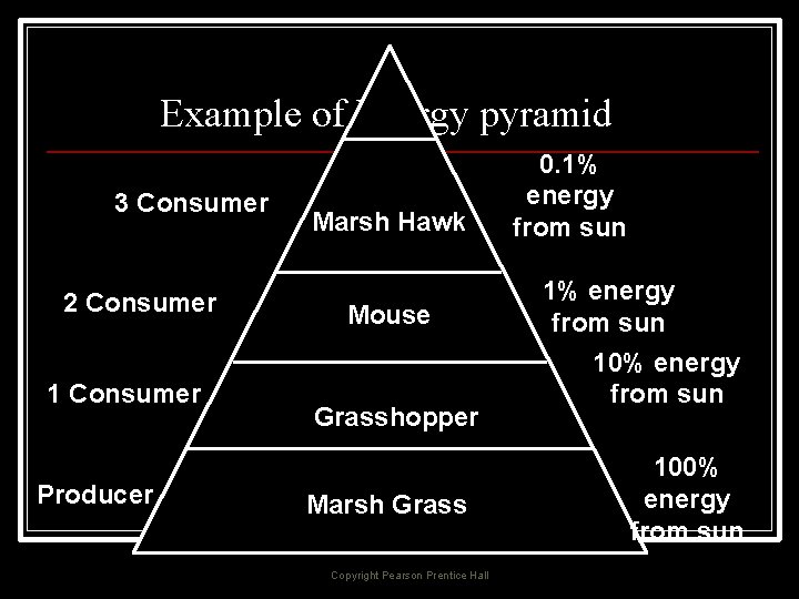 Example of Energy pyramid 3 Consumer 2 Consumer 1 Consumer Producer Marsh Hawk Mouse