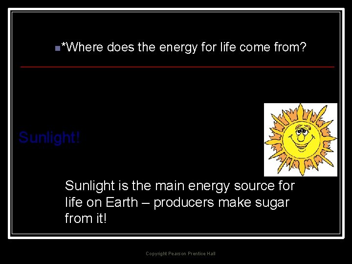n*Where does the energy for life come from? Sunlight! Sunlight is the main energy