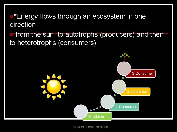 n*Energy flows through an ecosystem in one direction n from the sun to autotrophs