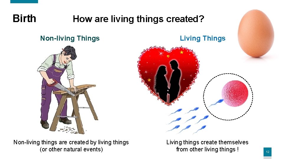 Birth How are living things created? Non-living Things Non-living things are created by living