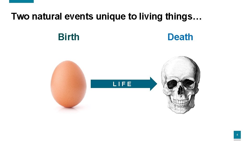 Two natural events unique to living things… Birth Death LIFE 4 