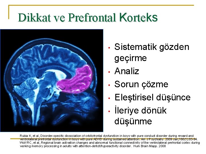 Dikkat ve Prefrontal Korteks • • • Sistematik gözden geçirme Analiz Sorun çözme Eleştirisel