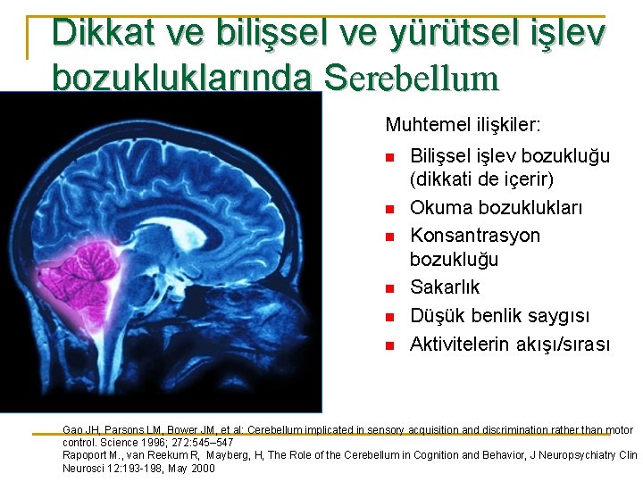 Dikkat ve bilişsel ve yürütsel işlev bozukluklarında Serebellum Muhtemel ilişkiler: n n n Bilişsel