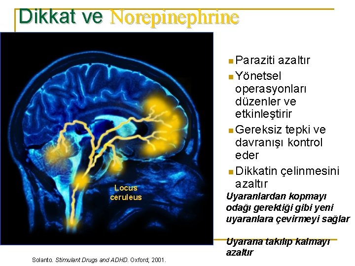 Dikkat ve Norepinephrine n Paraziti azaltır n Yönetsel Locus ceruleus Solanto. Stimulant Drugs and