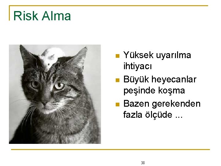 Risk Alma n n n Yüksek uyarılma ihtiyacı Büyük heyecanlar peşinde koşma Bazen gerekenden