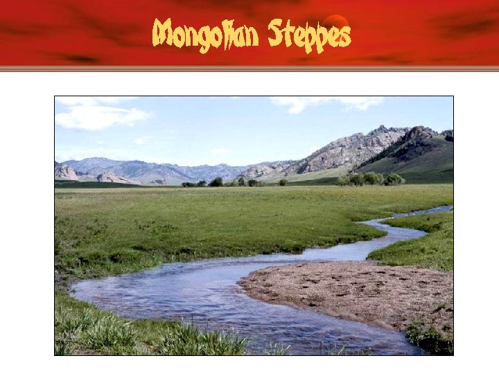 Mongolian Steppes 