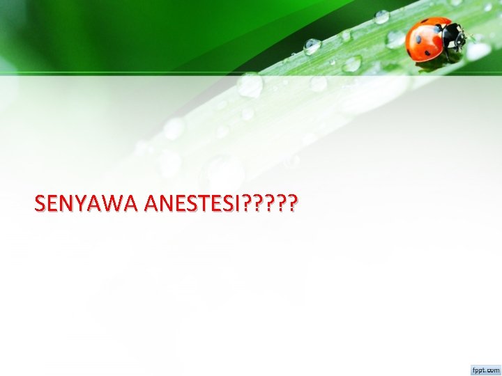 SENYAWA ANESTESI? ? ? 