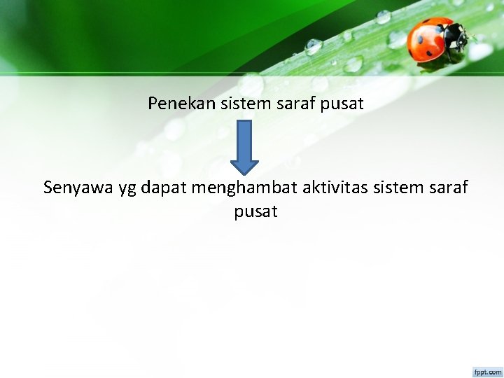 Penekan sistem saraf pusat Senyawa yg dapat menghambat aktivitas sistem saraf pusat 