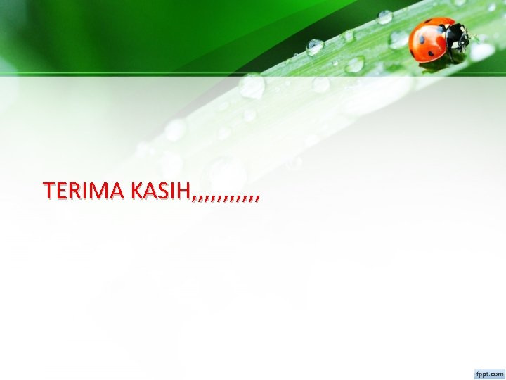 TERIMA KASIH, , , 