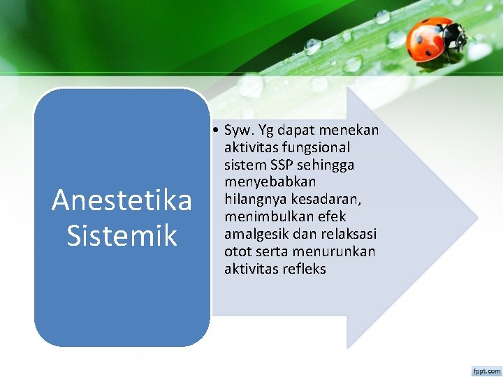 Anestetika Sistemik • Syw. Yg dapat menekan aktivitas fungsional sistem SSP sehingga menyebabkan hilangnya