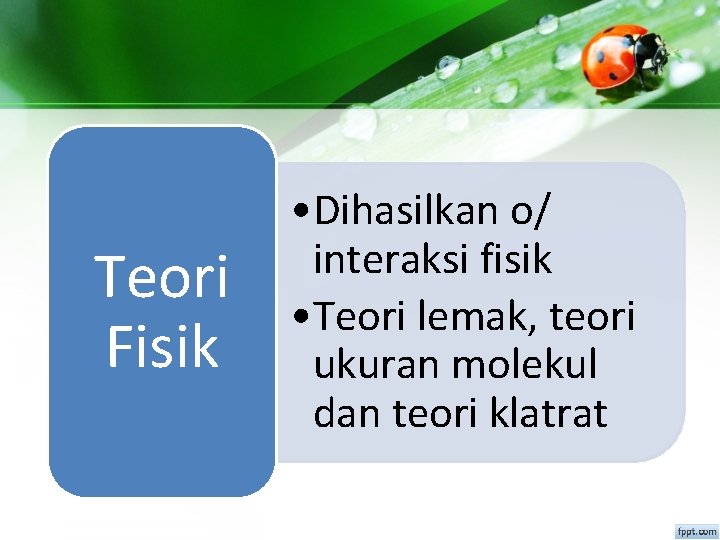 Teori Fisik • Dihasilkan o/ interaksi fisik • Teori lemak, teori ukuran molekul dan