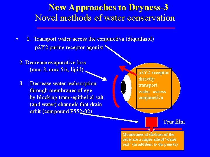 New Approaches to Dryness-3 Novel methods of water conservation • 1. Transport water across