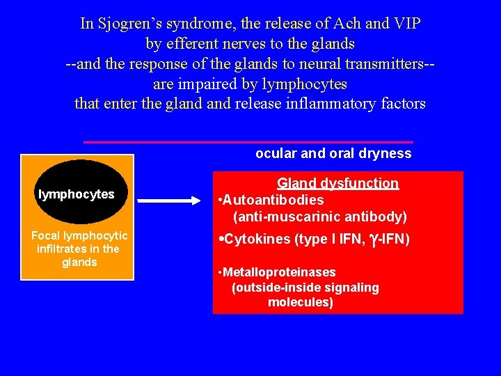 In Sjogren’s syndrome, the release of Ach and VIP by efferent nerves to the