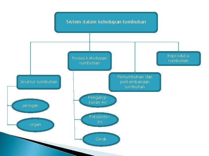 Sistem dalam kehidupan tumbuhan Reproduksi tumbuhan Proses kehidupan tumbuhan Pertumbuhan dan perkembangan tumbuhan Struktur