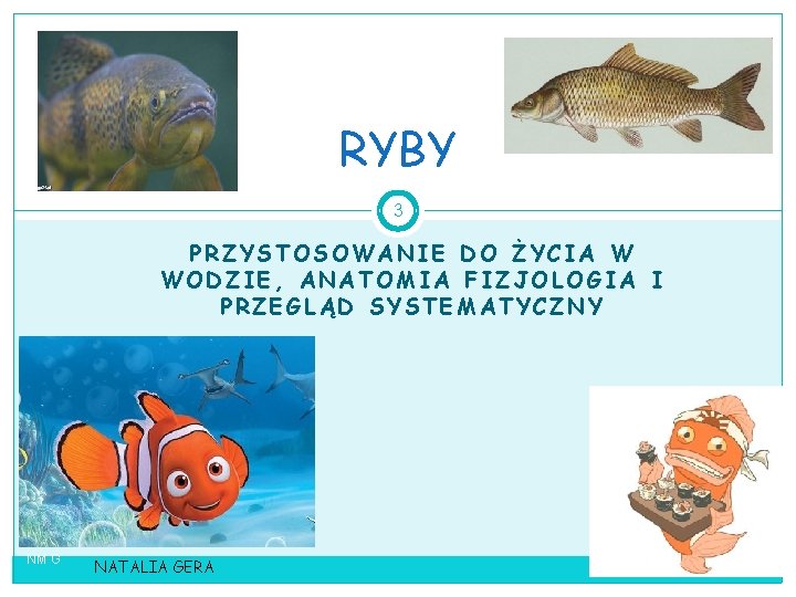 RYBY 3 PRZYSTOSOWANIE DO ŻYCIA W WODZIE, ANATOMIA FIZJOLOGIA I PRZEGLĄD SYSTEMATYCZNY NM G