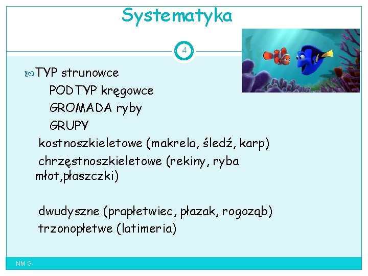 Systematyka 4 TYP strunowce PODTYP kręgowce GROMADA ryby GRUPY kostnoszkieletowe (makrela, śledź, karp) chrzęstnoszkieletowe