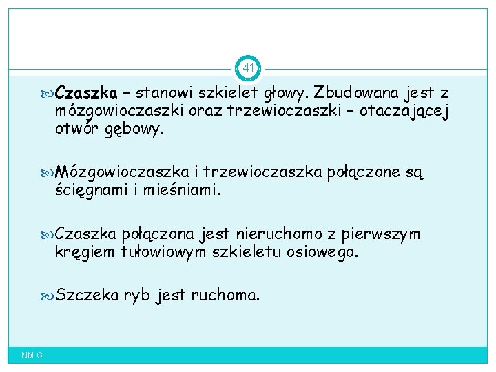 41 Czaszka – stanowi szkielet głowy. Zbudowana jest z mózgowioczaszki oraz trzewioczaszki – otaczającej