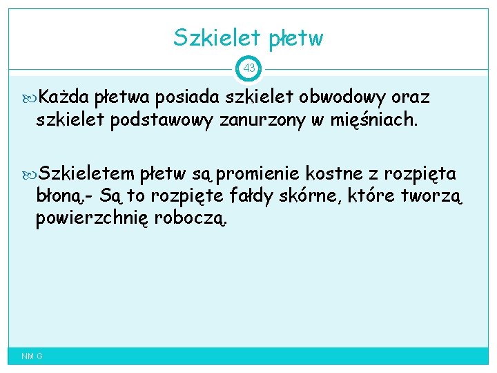 Szkielet płetw 43 Każda płetwa posiada szkielet obwodowy oraz szkielet podstawowy zanurzony w mięśniach.