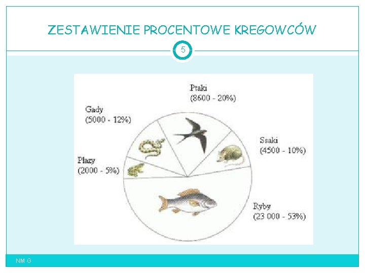 ZESTAWIENIE PROCENTOWE KREGOWCÓW 5 NM G 