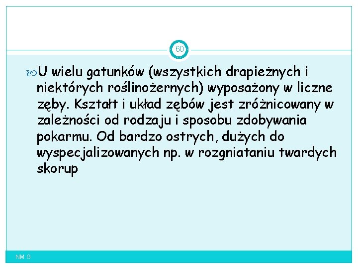 60 U wielu gatunków (wszystkich drapieżnych i niektórych roślinożernych) wyposażony w liczne zęby. Kształt