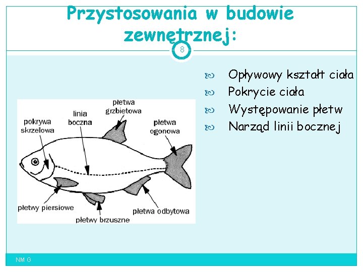 Przystosowania w budowie zewnętrznej: 8 NM G Opływowy kształt ciała Pokrycie ciała Występowanie płetw