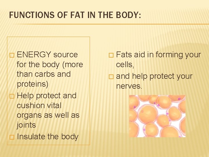 FUNCTIONS OF FAT IN THE BODY: ENERGY source for the body (more than carbs