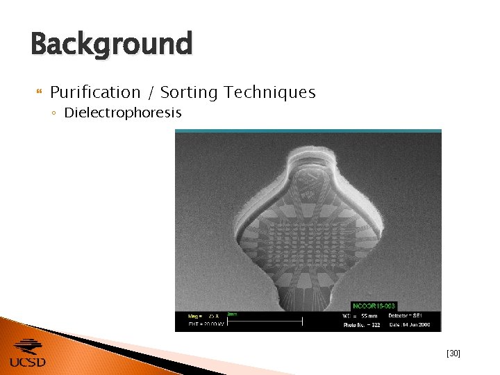 Background Purification / Sorting Techniques ◦ Dielectrophoresis [30] 