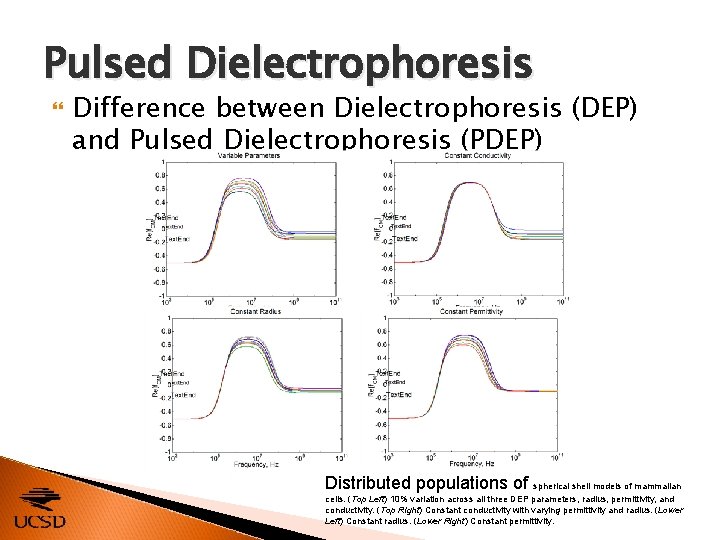 Pulsed Dielectrophoresis Difference between Dielectrophoresis (DEP) and Pulsed Dielectrophoresis (PDEP) Distributed populations of spherical