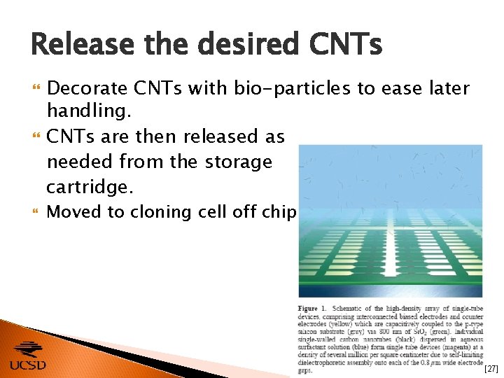 Release the desired CNTs Decorate CNTs with bio-particles to ease later handling. CNTs are