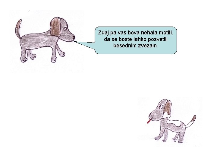 Zdaj pa vas bova nehala motiti, da se boste lahko posvetili besednim zvezam. 