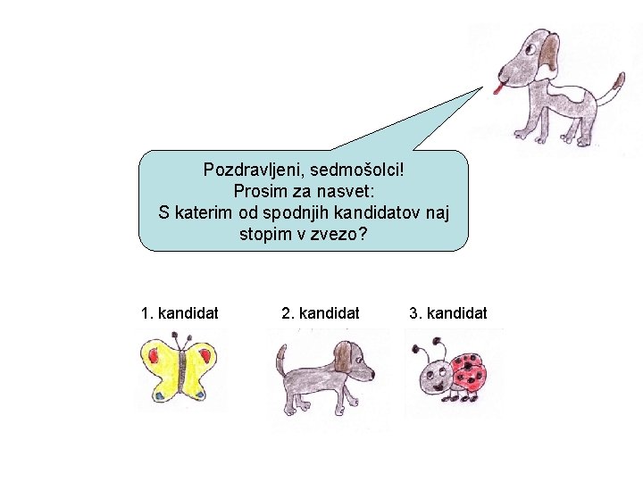 Pozdravljeni, sedmošolci! Prosim za nasvet: S katerim od spodnjih kandidatov naj stopim v zvezo?