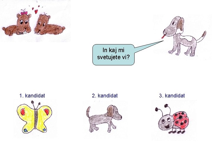 In kaj mi svetujete vi? 1. kandidat 2. kandidat 3. kandidat 