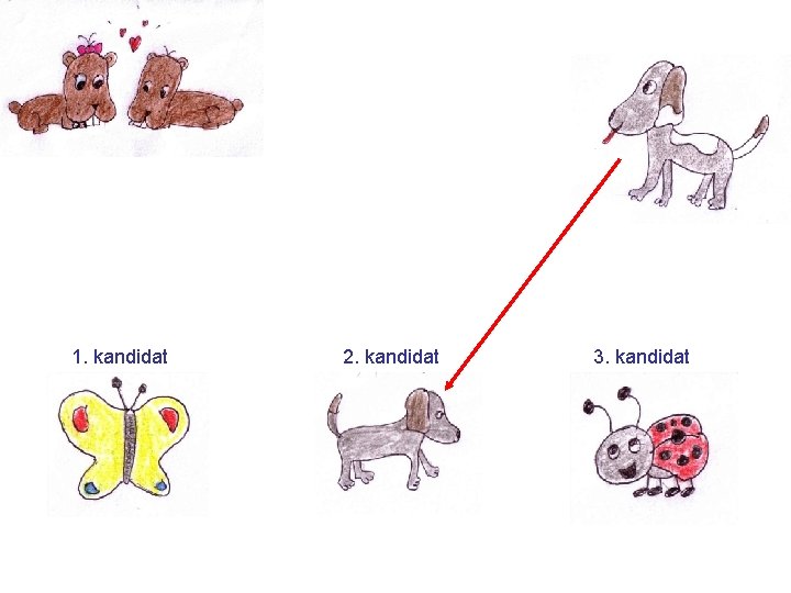 1. kandidat 2. kandidat 3. kandidat 
