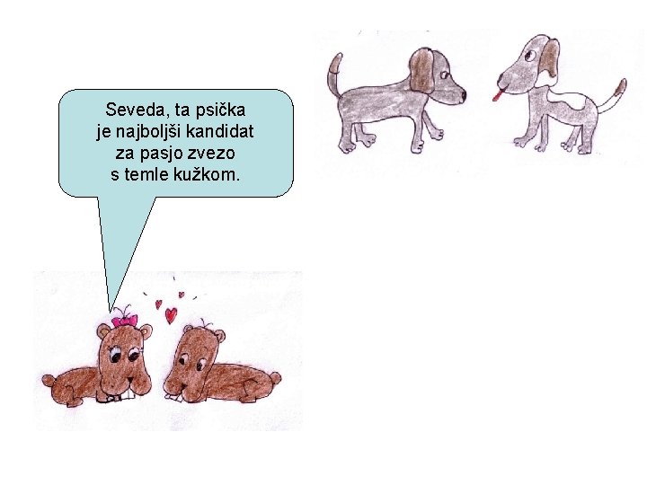 Seveda, ta psička je najboljši kandidat za pasjo zvezo s temle kužkom. 