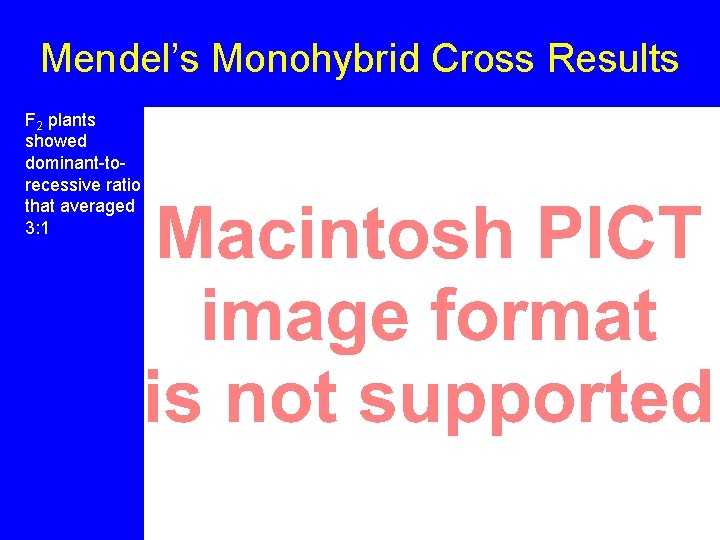 Mendel’s Monohybrid Cross Results F 2 plants showed dominant-torecessive ratio that averaged 3: 1